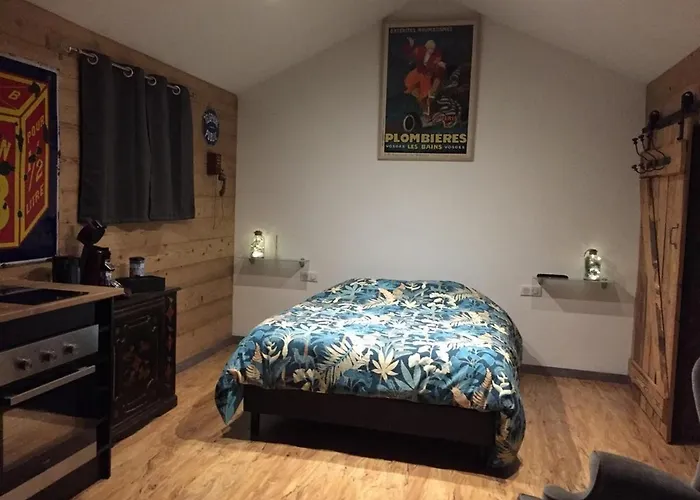 A Broc A 5 Minutes De Les Bains Plombières-les-Bains